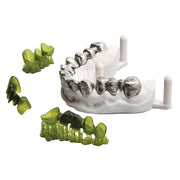 Alias Dental Döküm Reçinesi