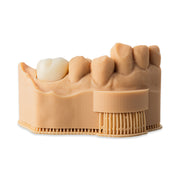 Alias Dental Crown