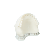 Alias Dental Try-In