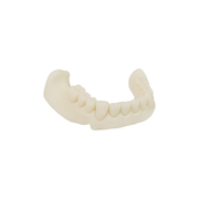 Alias Dental Try-In